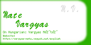 mate vargyas business card